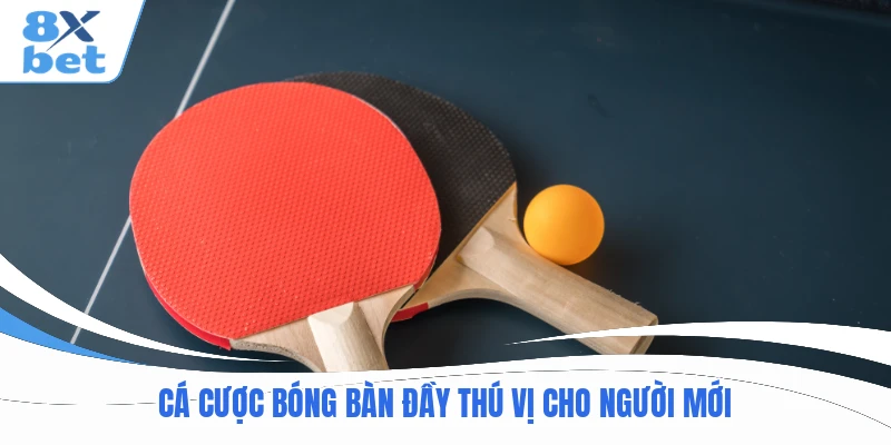 Cá cược bóng bàn đầy thú vị cho người mới
