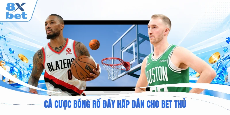 Cá cược bóng rổ đầy hấp dẫn cho bet thủ Cá cược bóng rổ đầy hấp dẫn cho bet thủ