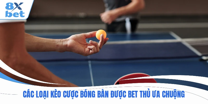 Các loại kèo cược bóng bàn được bet thủ ưa chuộng