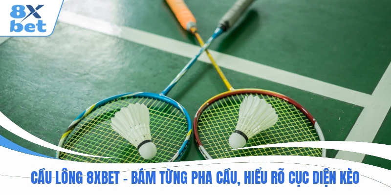 Cầu Lông 8XBET - Bám Từng Pha Cầu, Hiểu Rõ Cục Diện Kèo
