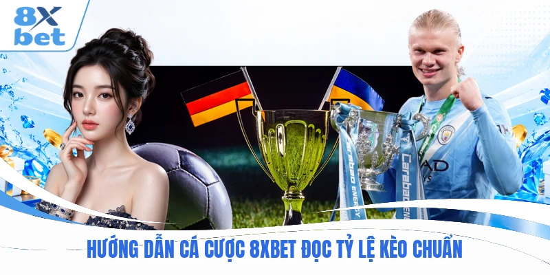 Hướng dẫn cá cược 8XBET  đọc tỷ lệ kèo chuẩn