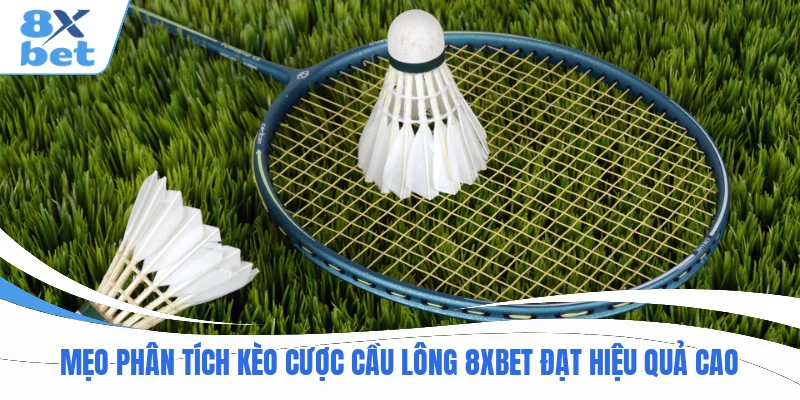 Mẹo phân tích kèo cược cầu lông 8XBET đạt hiệu quả cao