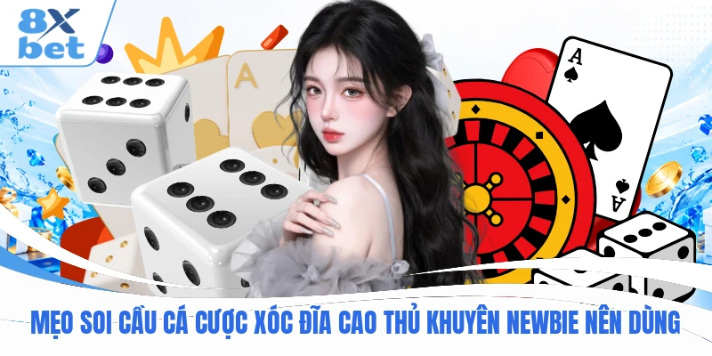 Mẹo soi cầu cá cược Xóc Đĩa cao thủ khuyên newbie nên dùng